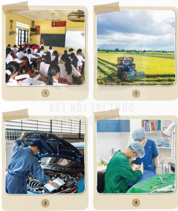 Nghề phổ biến trong xã hội hiện đại