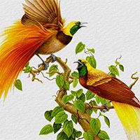 Đóng vai một nhân vật trong Chuyện của loài chim, viết đoạn văn kể về một công trình xây dựng mà nhân vật ấy được chứng kiến