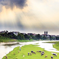 Phân tích bài thơ Sông Đáy 