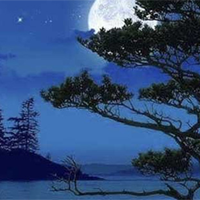 Bức tranh thiên nhiên ở khổ 2 có điểm nào khác với khổ 1?