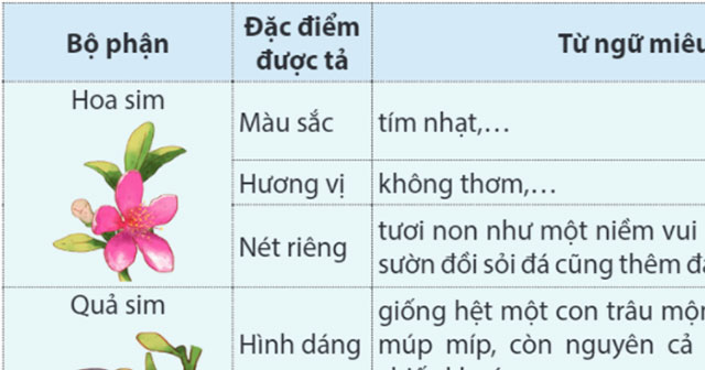 Tìm hiểu cách viết bài văn miêu tả cây cối