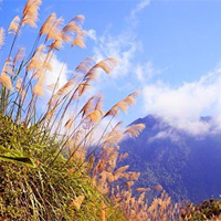 Dẫn chứng liên hệ Tây Tiến của Quang Dũng