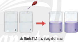 Thực hành chứng minh thân vận chuyển nước và lá thoát hơi nước