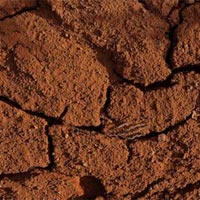 Địa lí 10 Bài 14: Đất