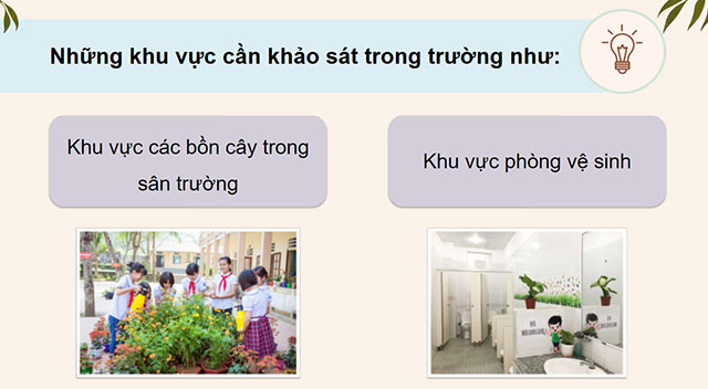 Hoạt động trải nghiệm 4 sách Cánh diều