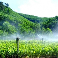 Địa lí 10 Bài 28: Thực hành tìm hiểu sự phát triển và phân bố ngành nông nghiệp, lâm nghiệp, thủy sản