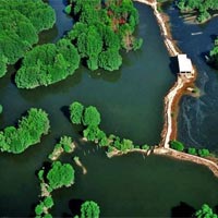 Địa lí 10 Bài 15: Sinh quyển, các nhân tố ảnh hưởng đến sự phát triển và phân bố của sinh vật 