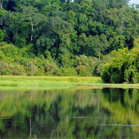 Địa lí 10 Bài 16: Thực hành phân tích sự phân bố của đất và sinh vật trên Trái Đất