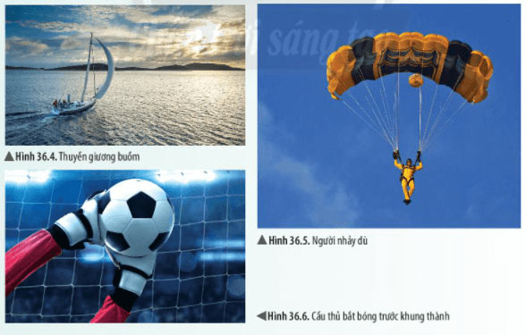Hình 36.4, 36.5 và 36.6