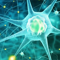 Bộ đề thi giữa học kì 2 môn Sinh học 11 năm 2024 - 2025 sách Chân trời sáng tạo