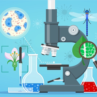 Bộ đề thi giữa học kì 2 môn Sinh học 11 năm 2024 - 2025 sách Kết nối tri thức với cuộc sống