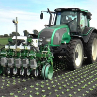 Viết đoạn văn ngắn, tìm hiểu về nông nghiệp hiện đại ở Nhật Bản