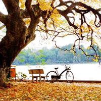 Dàn ý phân tích nhân vật cô Hiền trong Một người Hà Nội (3 Mẫu)