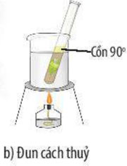 Thực hành chứng minh quang hợp ở cây xanh