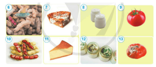 Câu hỏi quan sát trang 68