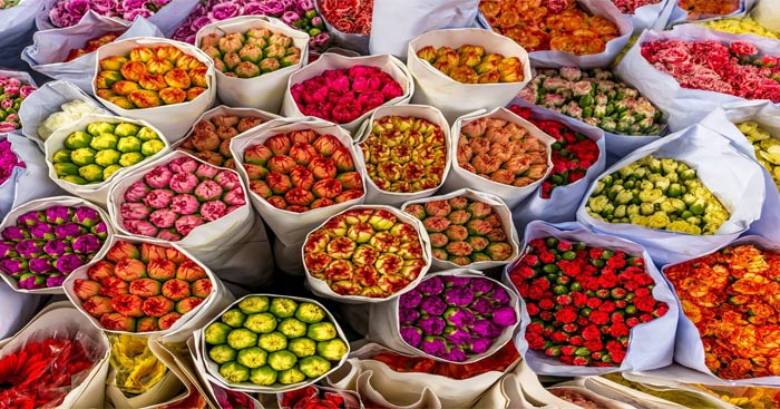 Viết đoạn văn về Lễ hội Hoa bằng tiếng Anh