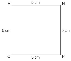 Chu vi hình tam giác, hình tứ giác, hình chữ nhật, hình vuông