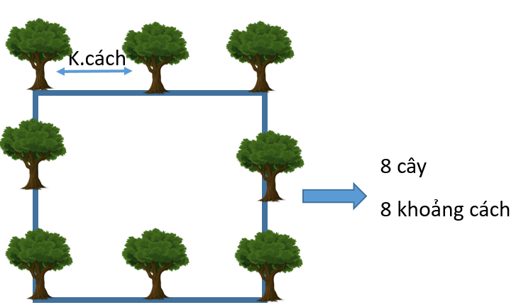 Toán trồng cây Tiểu học