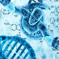 Sinh học 11 Bài 23: Khái quát về sinh sản ở sinh vật
