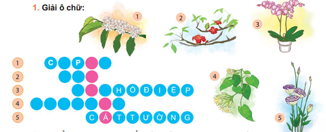 Giải ô chữ
