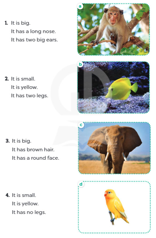 Extension Activities