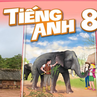 Bộ đề thi học kì 2 môn Tiếng Anh 8 năm 2024 - 2025 sách Kết nối tri thức với cuộc sống