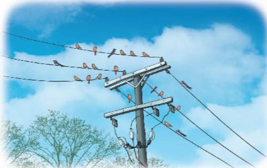 Tìm phân số của một số