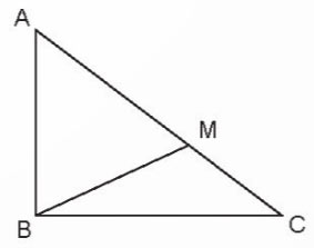 Ôn tập hình học và đo lường