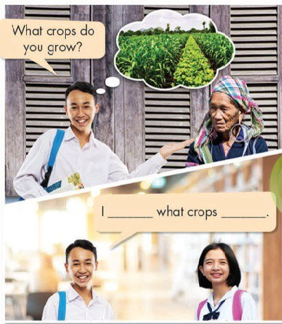 Grammar Meaning and Use