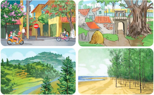 Ôn tập cuối năm học Tiết 5