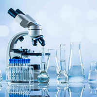 Đề cương ôn tập học kì 2 môn Khoa học 4 sách Chân trời sáng tạo