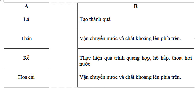Bộ đề thi học kì 2 môn Khoa học lớp 4 20 đề thi học kì 2 lớp 4 môn Khoa học (Có bảng ma trận, đáp án)