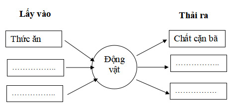 Khoa học 4 Cánh diều