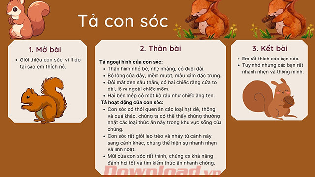 Sơ đồ tư duy Tả con sóc