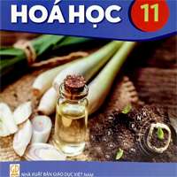 Đề cương ôn tập học kì 2 môn Hóa học 11 sách Kết nối tri thức với cuộc sống