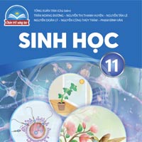 Đề cương ôn tập học kì 2 môn Sinh học 11 sách Chân trời sáng tạo