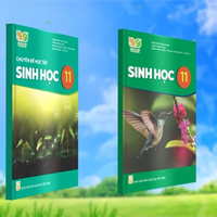 Đề cương ôn tập học kì 2 môn Sinh học 11 sách Kết nối tri thức với cuộc sống