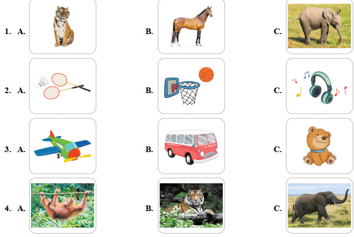 Đề cương học kì 2 môn Tiếng Anh 3