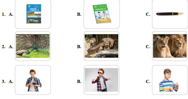 Tiếng Anh 4 Global Success