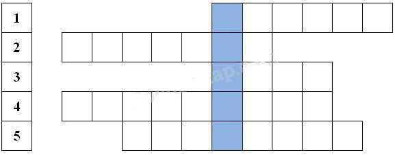 Ôn tập: Môi trường và tài nguyên thiên nhiên