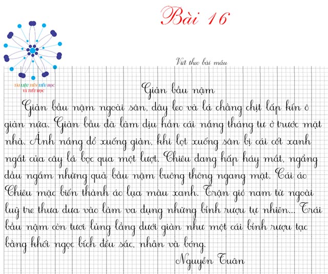 Bài 16