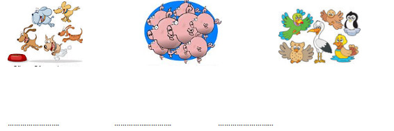 Thay hình bằng số và làm tính