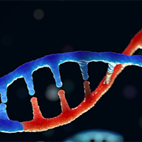 Sinh học 12 Bài 4: Đột biến gene