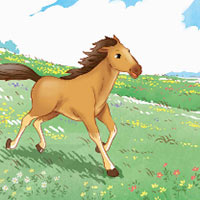 Đọc: Tuổi ngựa - Tiếng Việt 5 Kết nối tri thức