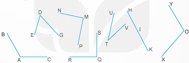 Ôn tập hình học và đo lường