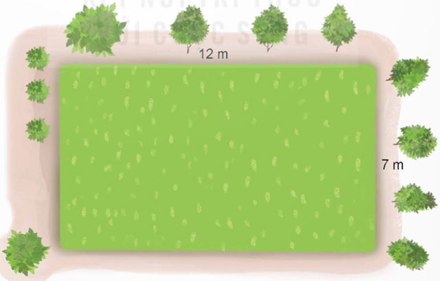 Ôn tập hình học và đo lường