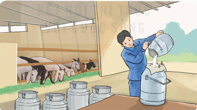 Phép cộng số thập phân