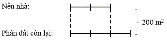 Em làm được những gì
