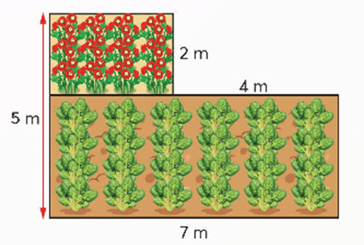 Bài toán giải bằng bốn bước tính