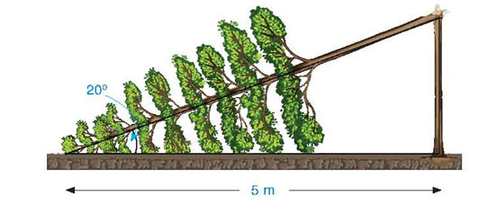 Bài tập cuối chương IV